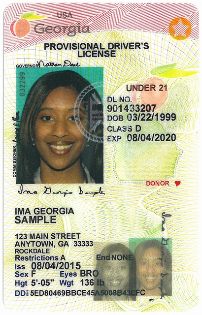 Georgia Provisional Driver S License